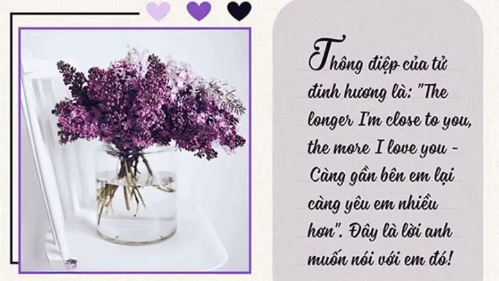Mẫu Thiệp Chúc Mừng 20/10 Tặng Vợ