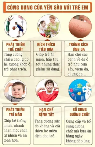 Các Món Ăn Chế Biến Từ Yến Sào