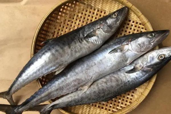 Cách Rã Đông Cá Thu Đúng Chuẩn