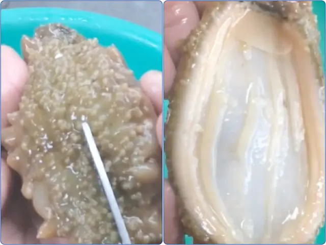 Cách Chế Biến Hải Sâm Cát Tươi