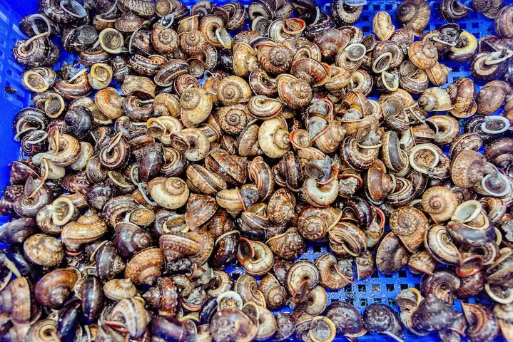 Tự Chế Biến, Bạn Đã Biết Cách Cách Luộc Ốc Núi Ninh Bình Chưa?
