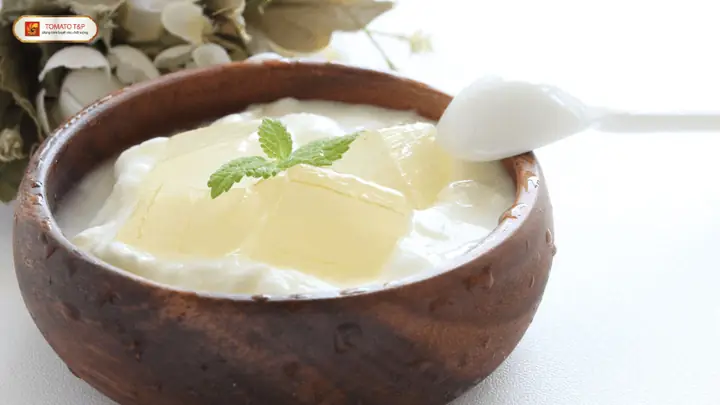 Công Thức Làm Sữa Chua Nha Đam Công Thức Làm Sữa Chua Nha Đam