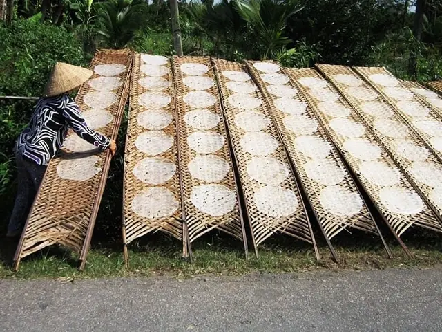 Cách Làm Mềm Bánh Tráng Phơi Sương