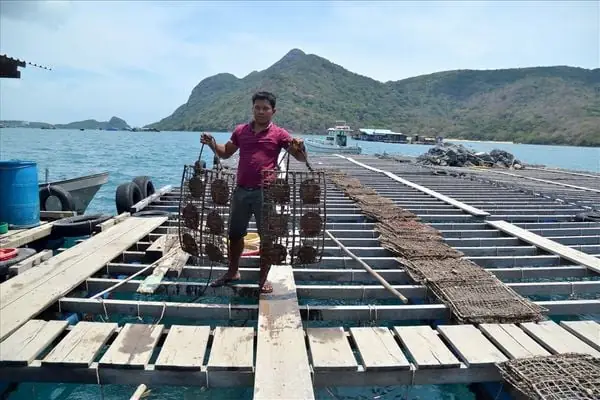 Ngọc Trailà Một Trong Những Loại Trang Sức Sang Trọng Có Giá Trị Cao Và Được Nhiều Người Ưa Chuộng.