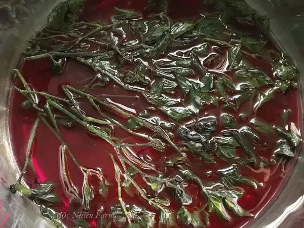 Bánh Lá Cẩm Bánh Lá Cẩm