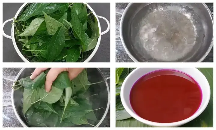 Màu Đỏ/hồng Từ Gấc, Củ Dền, Thanh Long Đỏ Màu Đỏ/hồng Từ Gấc, Củ Dền, Thanh Long Đỏ
