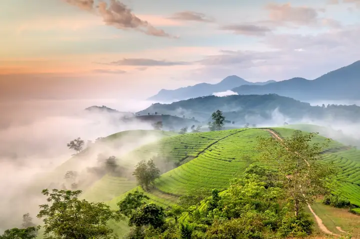 Nên Đi Phú Thọ Vào Thời Gian Nào Trong Năm?
