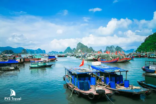 Kinh Nghiệm Toàn Tập Đi Tàu Gỗ Từ Cảng Cái Rồng Sang Đảo Cô Tô