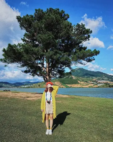 Cây Cô Đơn Làng Hà Cảng Cây Cô Đơn Làng Hà Cảng