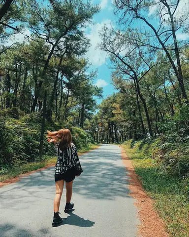 Đồi Thiên An – Cảnh Đẹp Ở Huế Lý Tưởng Đồi Thiên An – Cảnh Đẹp Ở Huế Lý Tưởng