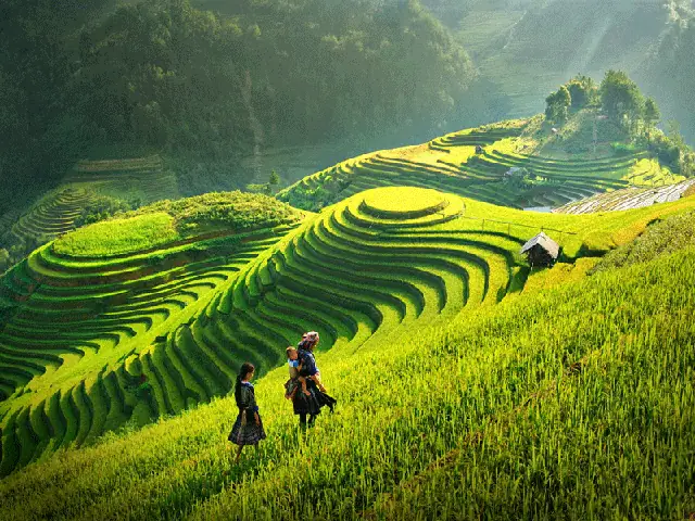 Cảnh Đẹp Quê Hương Đất Nước Việt Nam, Có Những Địa Điểm Nào? Cảnh Đẹp Quê Hương Đất Nước Việt Nam, Có Những Địa Điểm Nào?