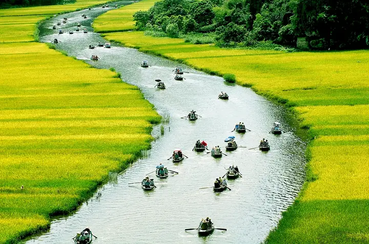 Cảnh Đẹp Quê Hương Đất Nước Việt Nam, Có Những Địa Điểm Nào? Cảnh Đẹp Quê Hương Đất Nước Việt Nam, Có Những Địa Điểm Nào?