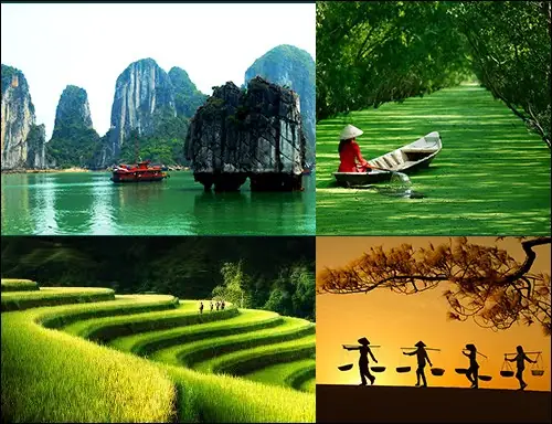 Cảnh Đẹp Quê Hương Đất Nước Việt Nam, Có Những Địa Điểm Nào? Cảnh Đẹp Quê Hương Đất Nước Việt Nam, Có Những Địa Điểm Nào?
