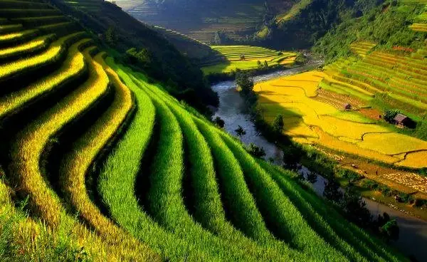 Cảnh Đẹp Quê Hương Đất Nước Việt Nam, Có Những Địa Điểm Nào? Cảnh Đẹp Quê Hương Đất Nước Việt Nam, Có Những Địa Điểm Nào?