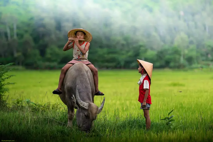 Cảnh Đẹp Quê Hương Đất Nước Việt Nam, Có Những Địa Điểm Nào? Cảnh Đẹp Quê Hương Đất Nước Việt Nam, Có Những Địa Điểm Nào?