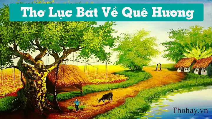 Cảnh Đẹp Quê Hương Đất Nước Việt Nam, Có Những Địa Điểm Nào? Cảnh Đẹp Quê Hương Đất Nước Việt Nam, Có Những Địa Điểm Nào?