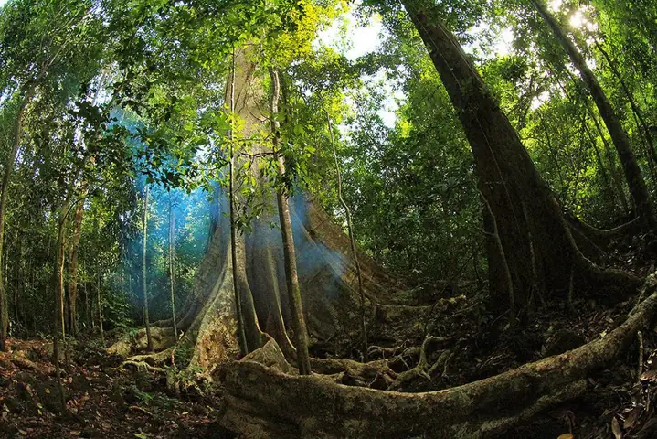 Explore Nam Cat Tien National Park