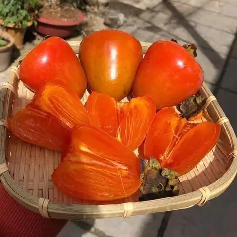 Vẻ Đẹp Và Hương Vị Độc Đáo Của Hồng Trứng