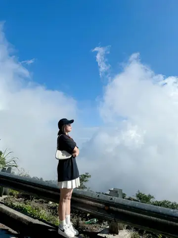 Vẻ Đẹp Thiên Nhiên - Rừng Thông Và Biển Mây Trong Mơ