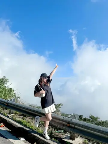 Vẻ Đẹp Thiên Nhiên - Rừng Thông Và Biển Mây Trong Mơ