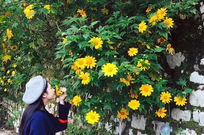 Thời Tiết Đà Lạt Từ Tháng 10 Đến Tháng 12 Thời Tiết Đà Lạt Từ Tháng 10 Đến Tháng 12