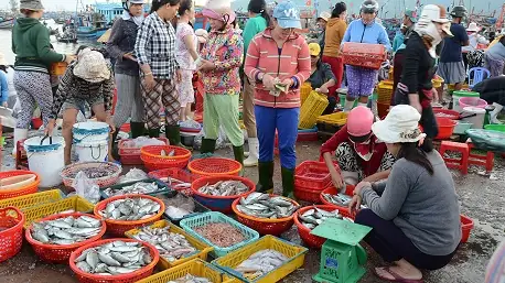 Chợ Hải Sản Đà Nẵng: Top 12 Khu Chợ Rẻ, Tươi, Chất Lượng