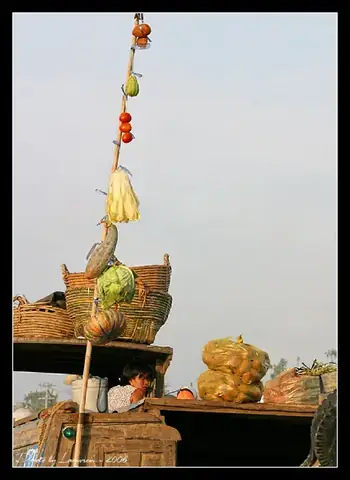 Cho Noi Dong Bang Song Cuu Long