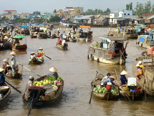 Cho Noi Dong Bang Song Cuu Long