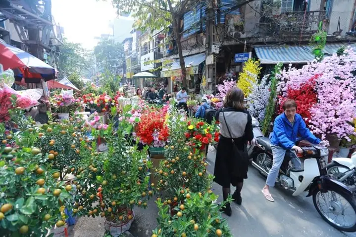 Chợ Hoa Tết Hàng Lược
