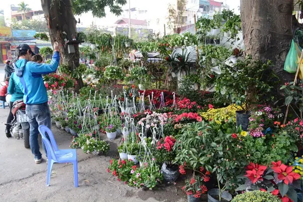 Chợ Hoa Đường Âu Cơ – Lạc Long Quân – Nghi Tàm