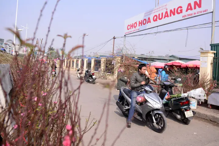 Chợ Hoa Quảng An