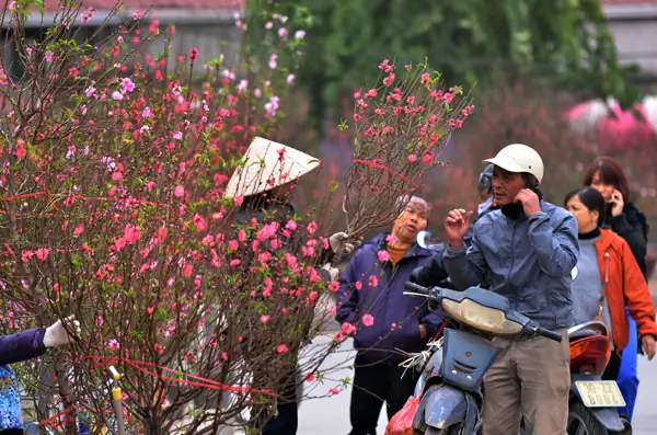 Chợ Hoa Đường Âu Cơ – Lạc Long Quân – Nghi Tàm