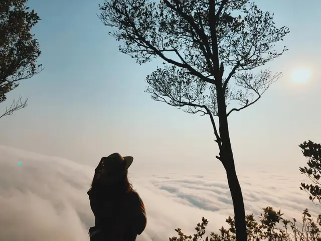 Địa Điểm Vui Chơi Tết Dương Lịch Ở Hà Nội