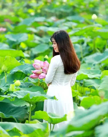 Địa Điểm Vui Chơi Tết Dương Lịch Ở Hà Nội
