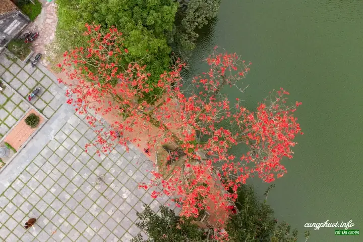 Chùa Thầy Cách Hà Nội Bao Nhiêu Km