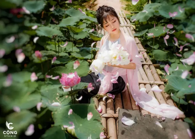 Thời Gian Chụp Ảnh Hoa Sen Phù Hợp Thời Gian Chụp Ảnh Hoa Sen Phù Hợp