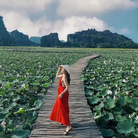 Một Số Cách Tạo Dáng Khi Chụp Ảnh Hoa Sen Một Số Cách Tạo Dáng Khi Chụp Ảnh Hoa Sen