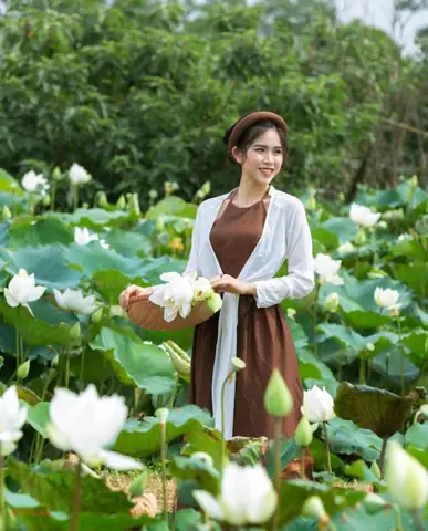 Đầm Sen Ở Trường Đại Học Nông Nghiệp Đầm Sen Ở Trường Đại Học Nông Nghiệp
