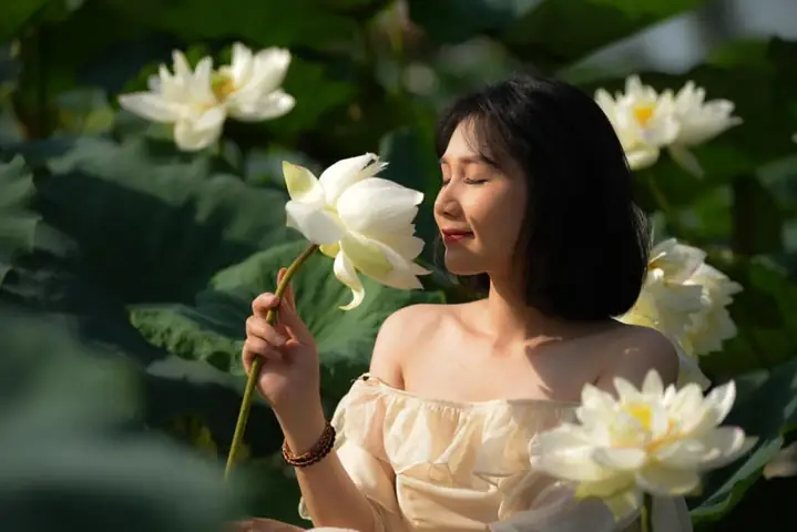 Mặc Váy Trắng Chụp Ảnh Sen Mặc Váy Trắng Chụp Ảnh Sen