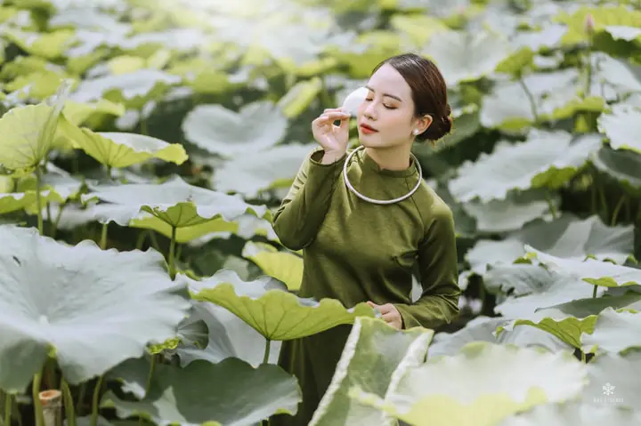 Chụp Ảnh Sen Với Áo Dài Chụp Ảnh Sen Với Áo Dài