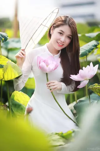 Chụp Ảnh Sen Với Áo Dài Chụp Ảnh Sen Với Áo Dài