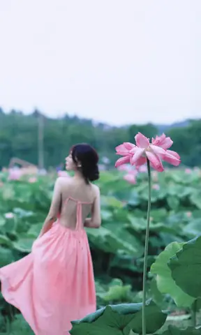 Váy Dài Hở Lưng Váy Dài Hở Lưng