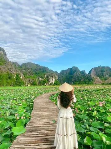 Mặc Váy Trắng Chụp Ảnh Sen Mặc Váy Trắng Chụp Ảnh Sen