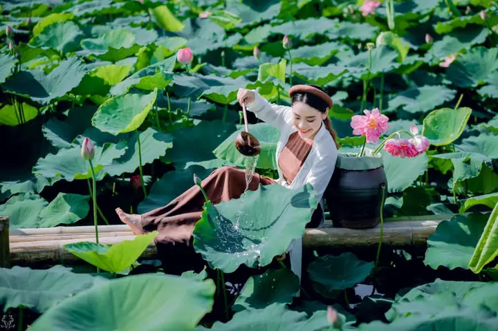 Chụp Ảnh Sen Áo Yếm Chụp Ảnh Sen Áo Yếm