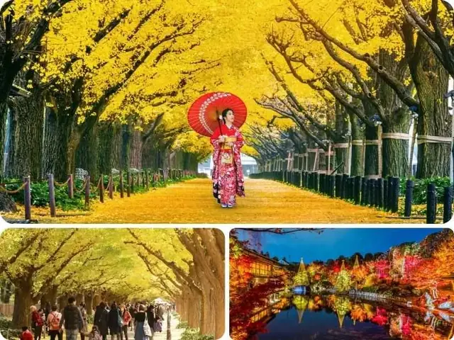 Tokyo - Địa Điểm Nổi Tiếng Khi Đi Du Lịch Nhật Bản Mùa Thu