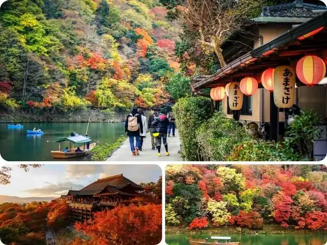 Du Lịch Kyoto Mùa Thu Lá Đỏ