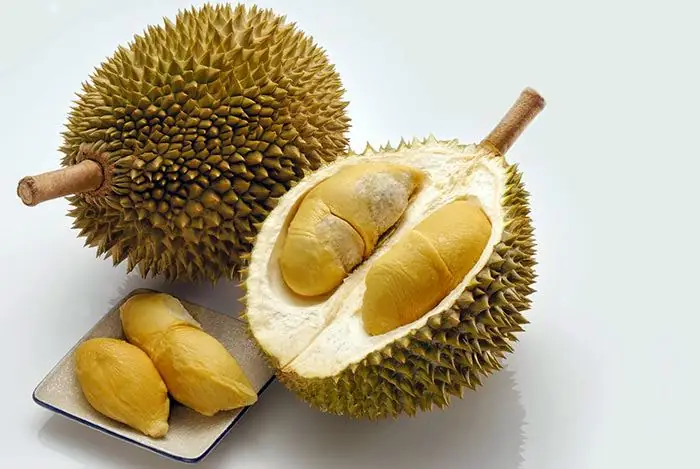 Cách Mang Sầu Riêng, Nước Mắm, Đồ Hải Sản Khi Đi Máy Bay ...