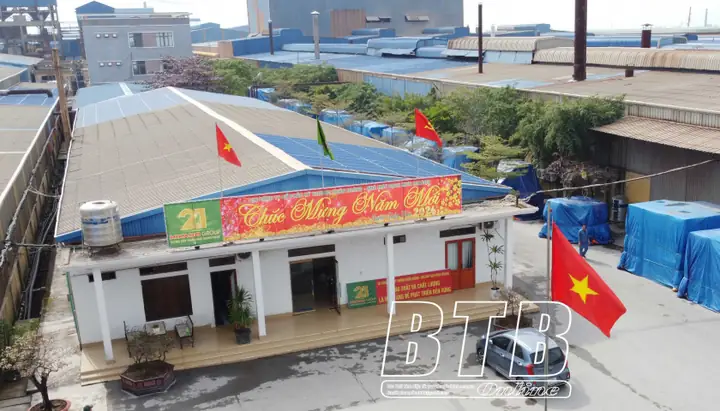 Mikado Và Hành Trình 21 Năm Vươn Ra Biển Lớn - Báo Thái Bình Điện Tử