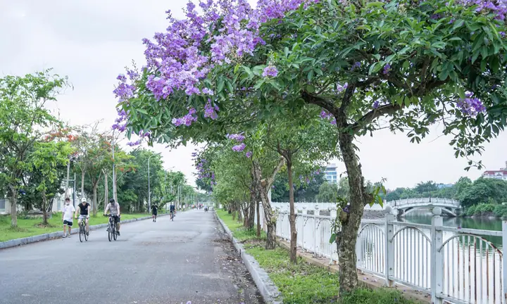 Công Viên Hoàng Hoa Thám Hà Nội