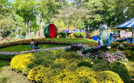 Cảnh Quan Ấn Tượng